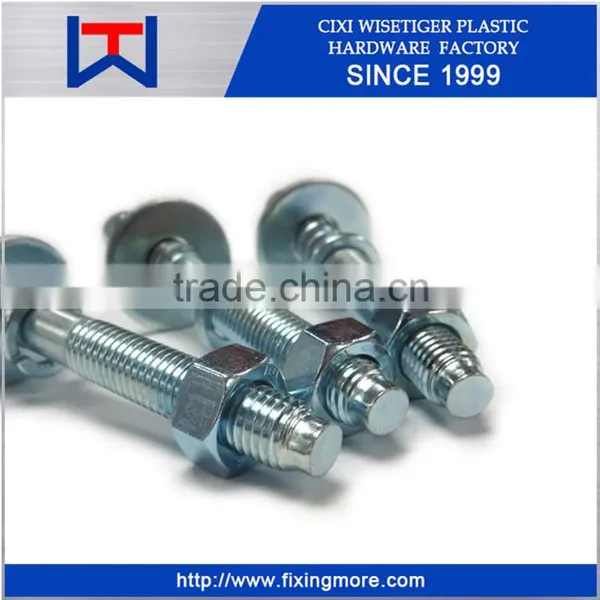 Wedge Anchor Bolt With Nut / Through Bolt M20 x 200mm