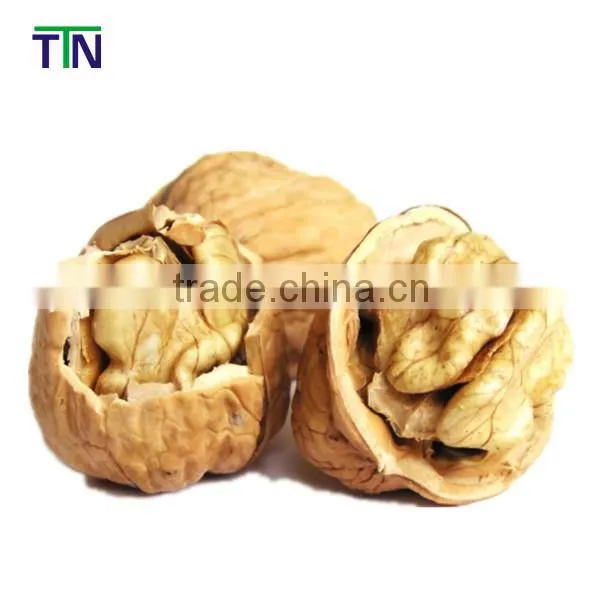 TTN Wholesale Buy Shelled Walnuts for Sell photo-5