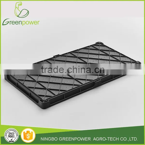 Rice Seeding Tray photo-2