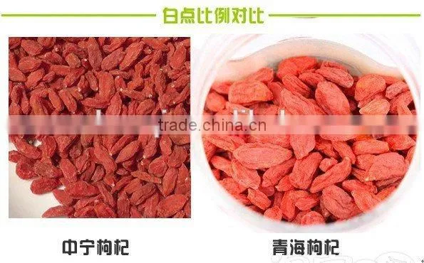NingXia Goji Berries Hot Selling photo-3