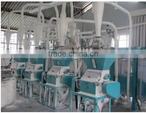 10t Wheat Flour Milling Machine photo-5