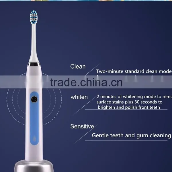 Wholesale Cheap Electric Toothbrush Price With Replaceable Brush Heads photo-6