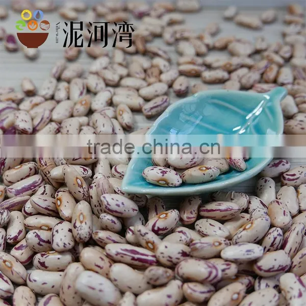 New CROP Light Speckled Kidney Bean 2016 Crop Hot Sale photo-2