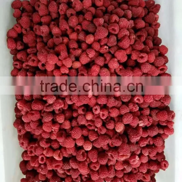 2016 Delicious Raspberry IOF photo-2