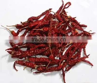 Indian Red Chily photo-3