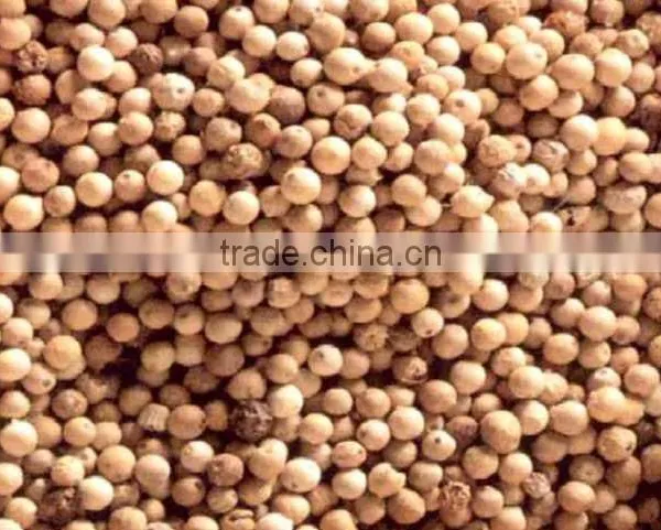 GROUND WHITE PEPPER