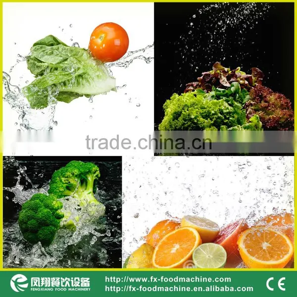 DUP-5000 Industrial Top and Bottom Spray Vegetable and Fruit Washing Cleaning Machine photo-6