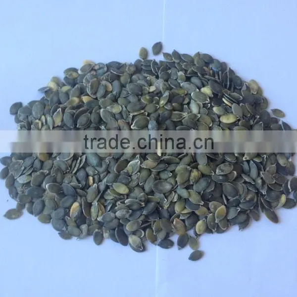China Dry Pumkin Kernels Grow Without Shell for Sale photo-4