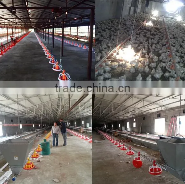 Hot Sale Poultry Ground Feeding System for Broiler and Breeder
