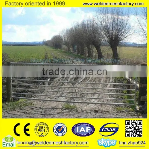 Modern Steel Gates and Fences photo-2