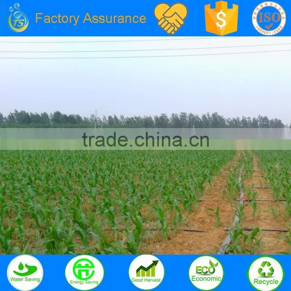 Plant Irrigation System for Corn Irrigation, Sugarcane and so on