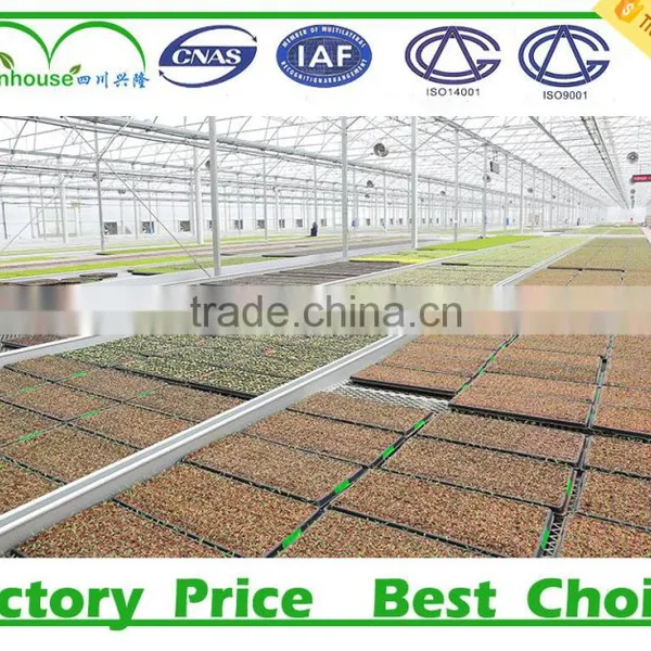 Low Cost Greenhouse Supplier photo-4