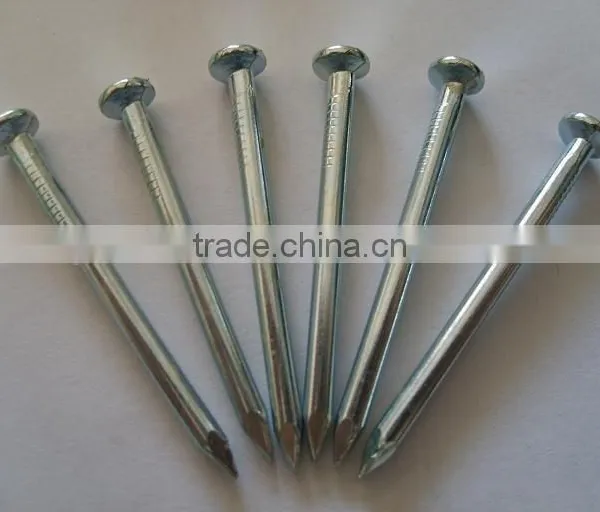 Guangzhou Supplier High Strengthen Galvanized Concrete Nail photo-2