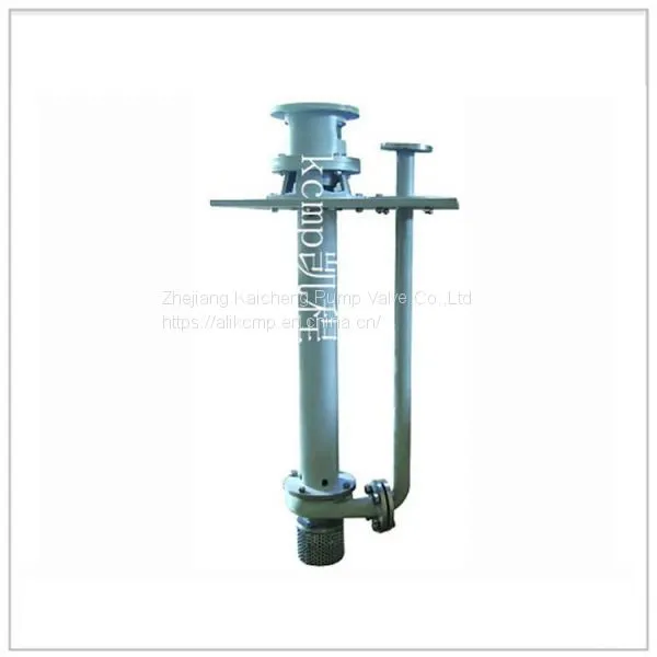 FYH Long Axis Submerged Pump photo-3