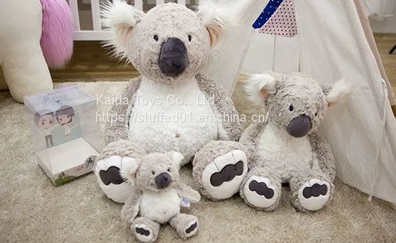 KOALA photo-2