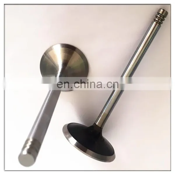 High Performance 4 Stroke Motorcycle Spare Parts Engine Valves For Piaggio Zongshen CB133 CG1250 CB250 photo-4