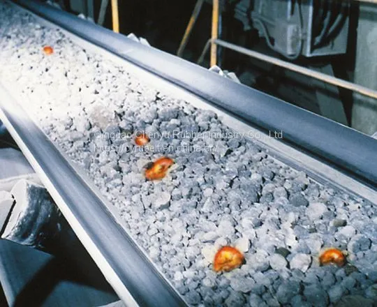 Heat Resistant Conveyor Belt / EP Conveyor Belt/ Conveyor Belt photo-4