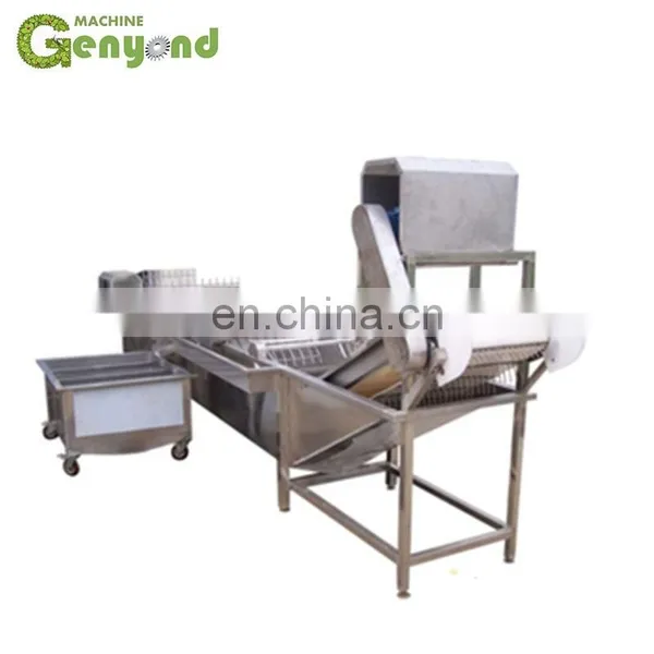 Almond Blanching Machine