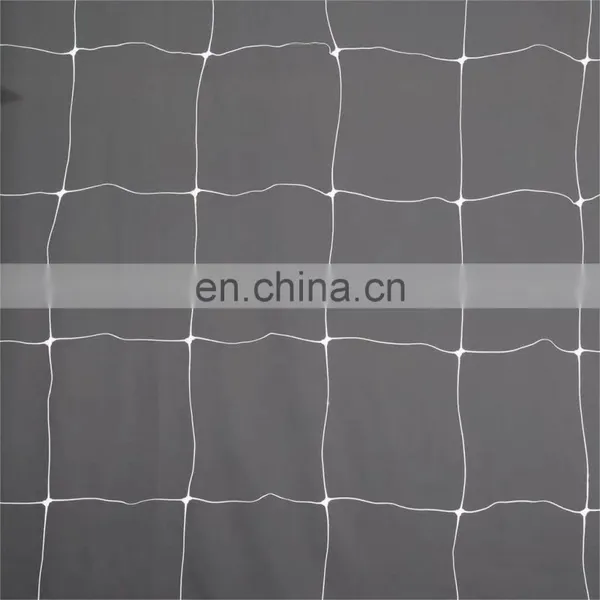 Factory Supply Cheap Price Trellis Netting Roll 6.5 x 3280 For Orchard Garden Vegetable photo-2