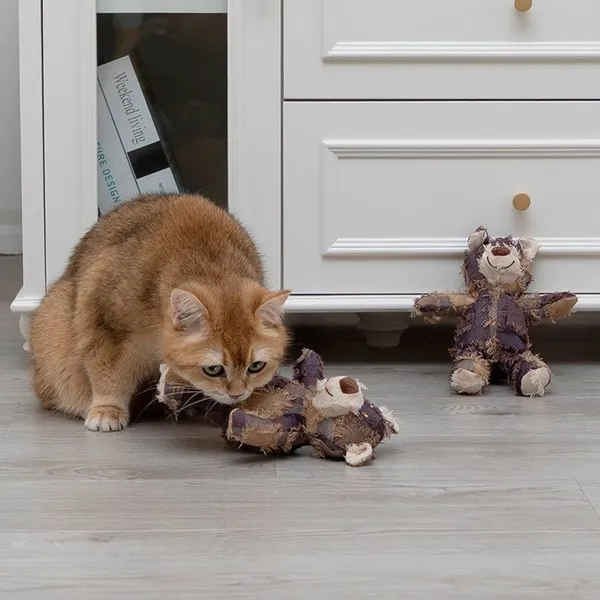 Teddy Bear photo-4