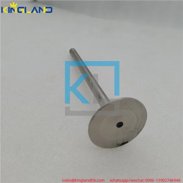 Diesel Engine Parts Valve, In 1824840C1 Fit For Perkins 1306 photo-5