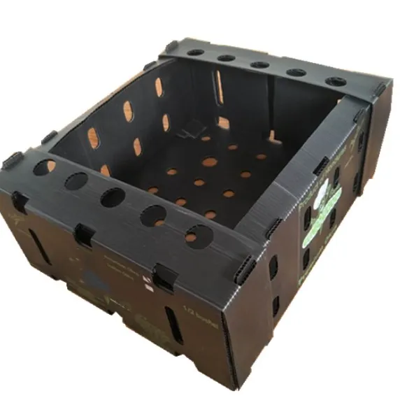 Corrugated PP Box, Foldable Coroplast Box