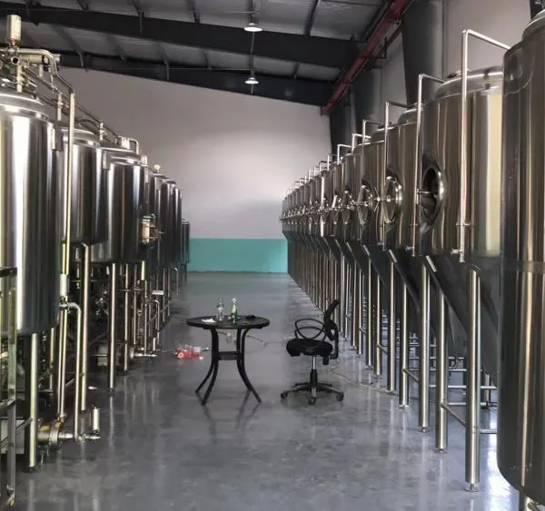 Analysis of Investment Elements for a 20,000-Ton Annual Craft Beer Brewery Project photo-3