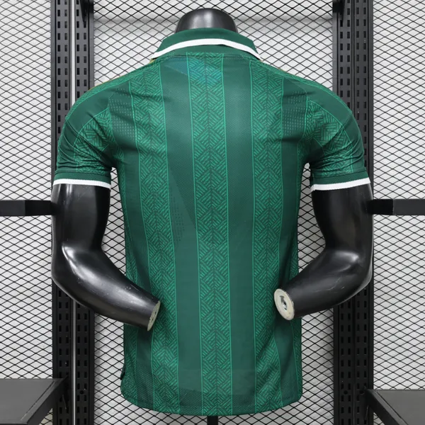 2627 South Africa National Team Jersey, USA/Canada/Mexico World Cup, Men's Custom Printed Short-sleeve Football Shirt photo-2
