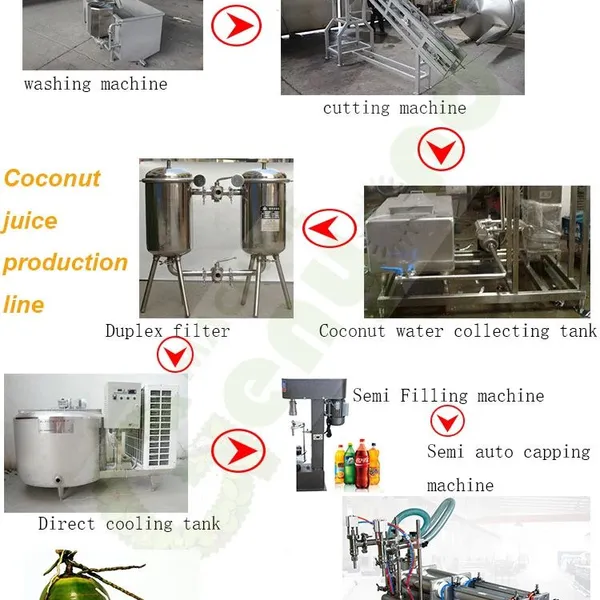 Shanghai Complete Coconut Processing Machines for Coconut Water Processing photo-3