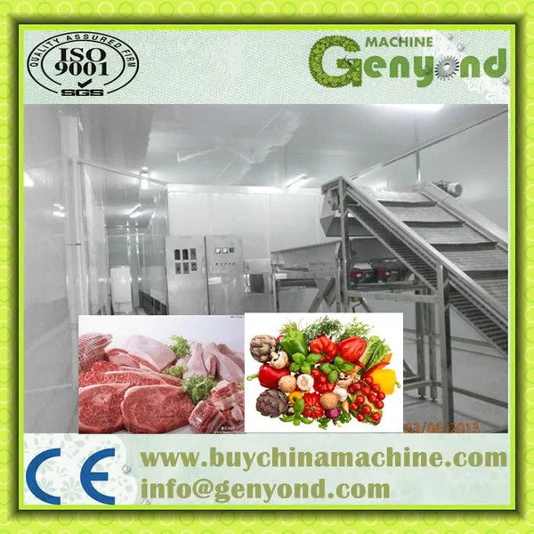 China Frozen Vegetable Production Line/Green Peas Quick Freezing Processing Machine photo-4