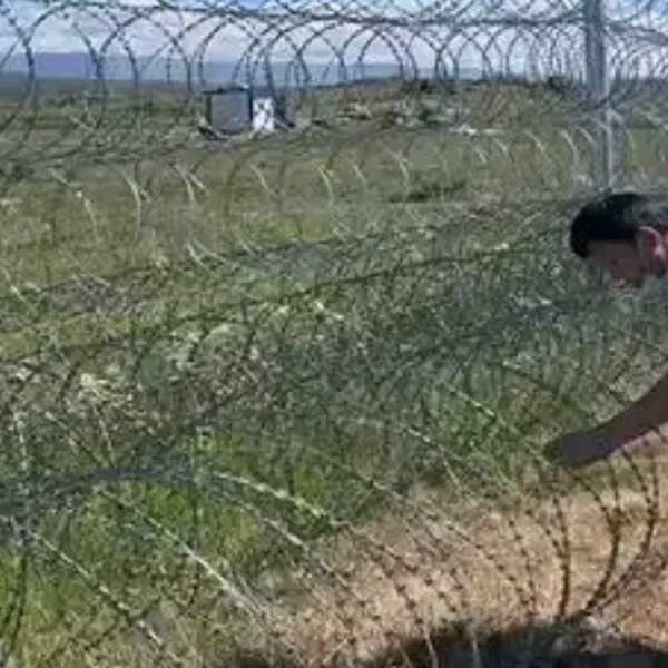 Israel/Middle East Special Defense: Heavy Duty Green PVC Coated Barbed Wire 960mm Wide x 22mm Long Barb for High Security Military Fence photo-2