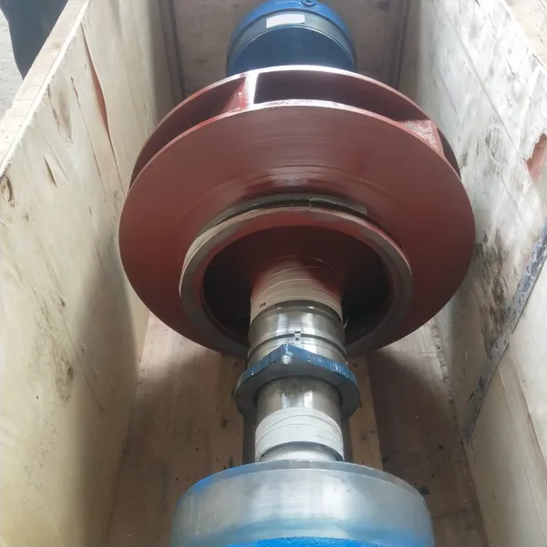 SLOW200-410 Rotor Assembly Precision Machined Rotor Parts Shanghai Liancheng Split Case Pump