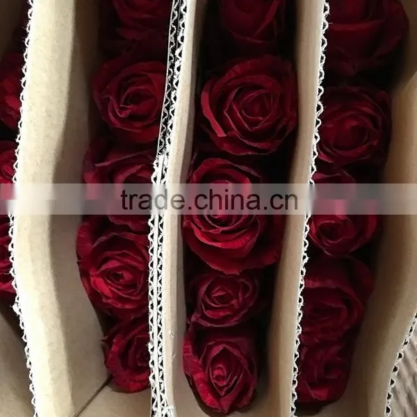 Fresh Color Hot Selling Fresh Red Rose With Leaves and Stem photo-2
