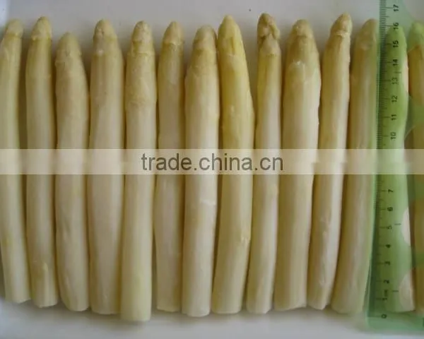 2016 Crop Chinese Frozen Iqf White Asparagus Center Cuts photo-5