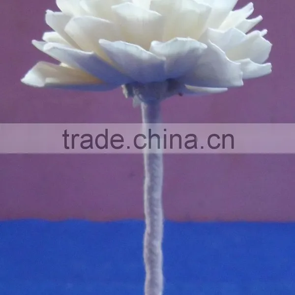 Flower for Decoration photo-5