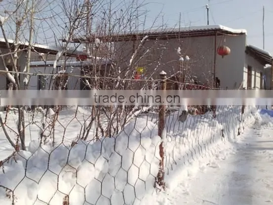 High Quality PVC Coated Gabion Mesh / Gabion Baskets China Factory photo-5
