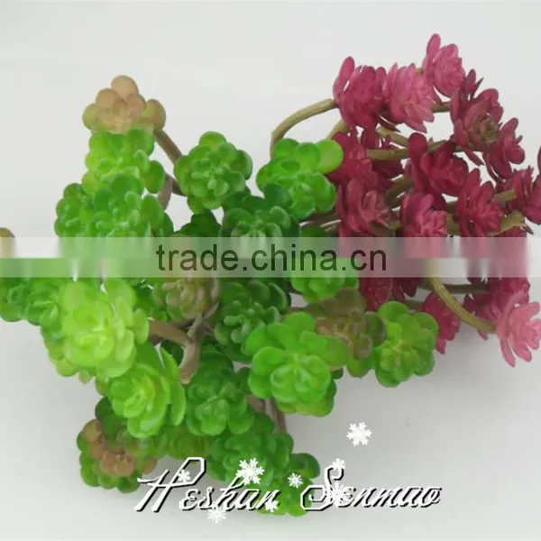Home Decorative Artificial Mini Succulent Plant Pvc Potted Succulent Plant With Different Styles photo-3