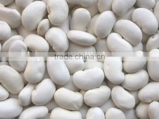 Chinese Large White Kidney Beans for Sale photo-2
