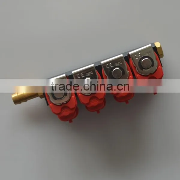 Italy Cng/lpg Injector Rail photo-2