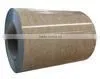 PPGI PPGL Prepainted Galvanized Steel Coil/ Ppgi Metal Sheet for Building Material photo-4