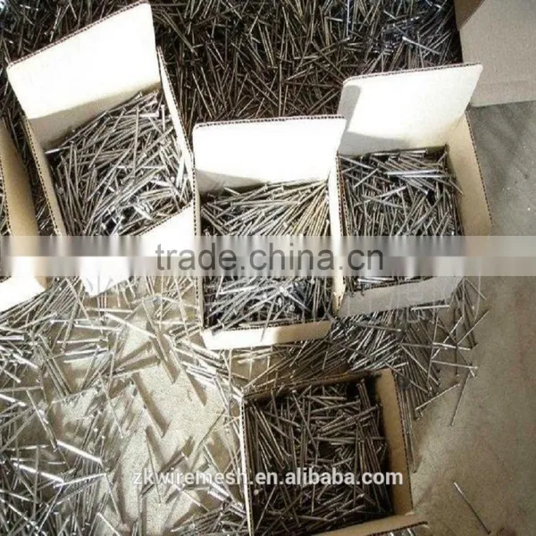 Galvanized Common Nails/Common Wire Nails/Iron Nails photo-4