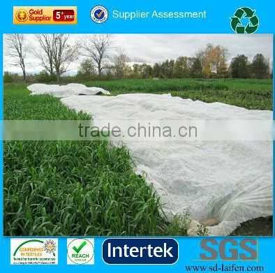 100% Virgin PP Spunbond Nonwoven Fabric for Agriculture, Industury, Upholstery, Medical photo-3