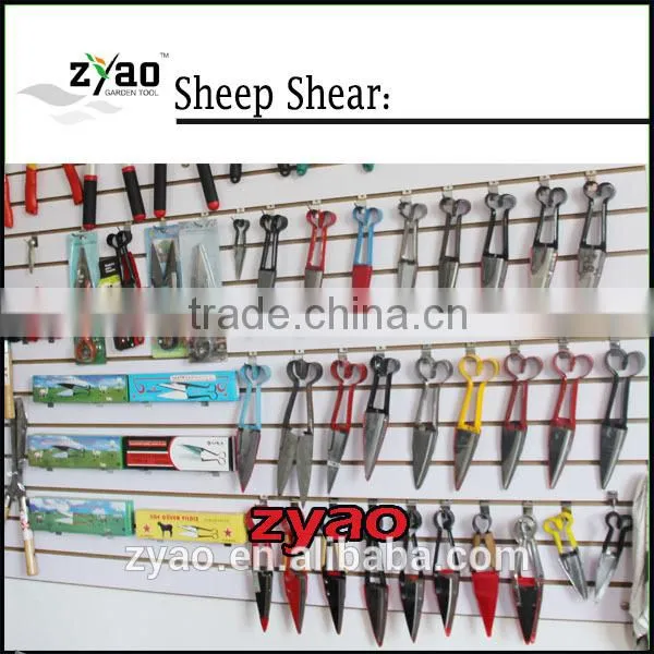 Sheep Wool Shearing