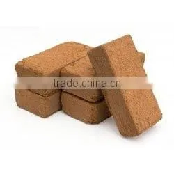 Coco Peat Coconut Peat