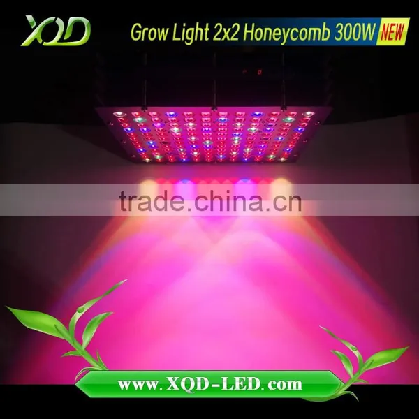 Agriculture Lighting Grow Microgreens Use Intelligent Control System Honeycomb Size 300w Led Grow Light With x Lens photo-3
