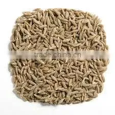 CUMIN SEED