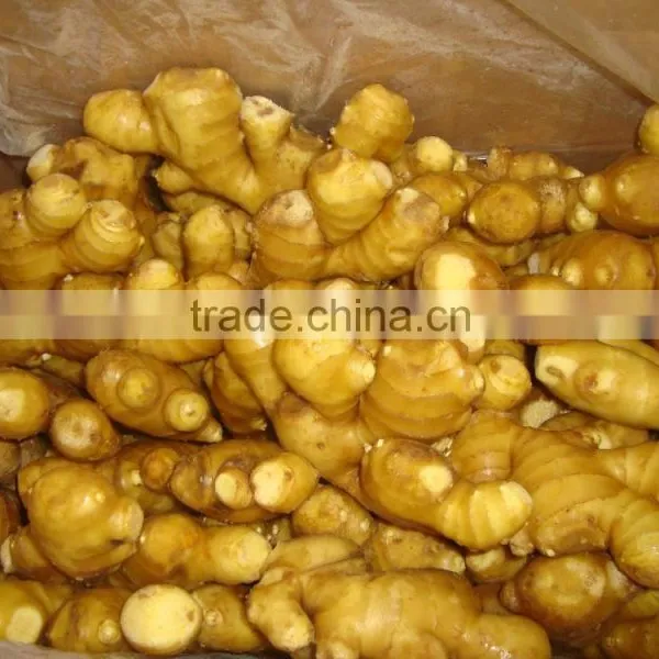 ORGANIC FRESH GINGER VIETNAM FOR GINGER SLICES photo-6