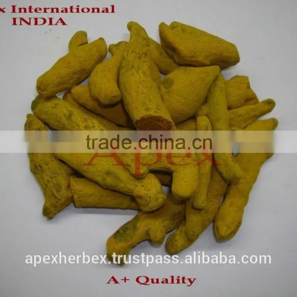Turmeric Fingers Whole Spice / Turmeric / Curcuma Longa Fingers photo-4