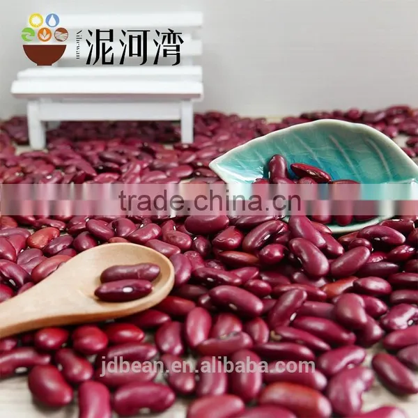 Polished Hand Pick Selected Dark Red Kidney Bean for Cannery photo-3