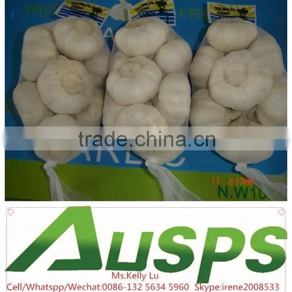 China Good Quality Hot Garlic photo-4